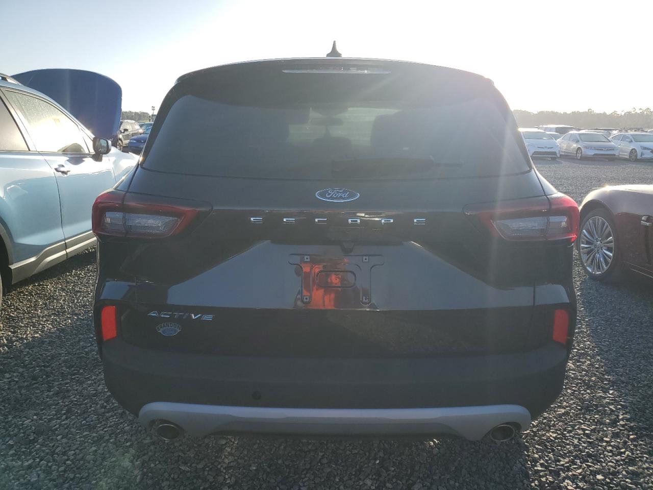 2023 Ford Escape Active VIN: 1FMCU0GN9PUA23293 Lot: 75825274