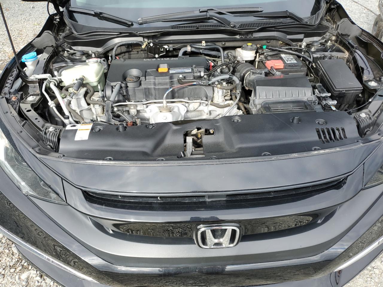 2HGFC2F59LH006509 2020 Honda Civic Lx