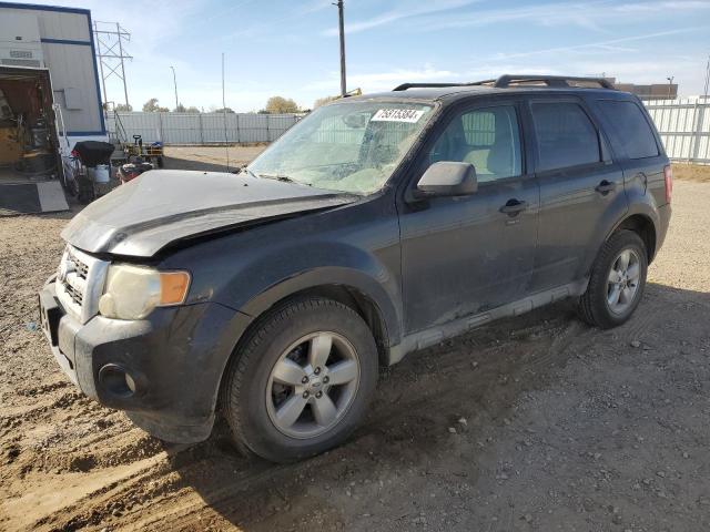 2010 Ford Escape Xlt de vânzare în Bismarck, ND - All Over