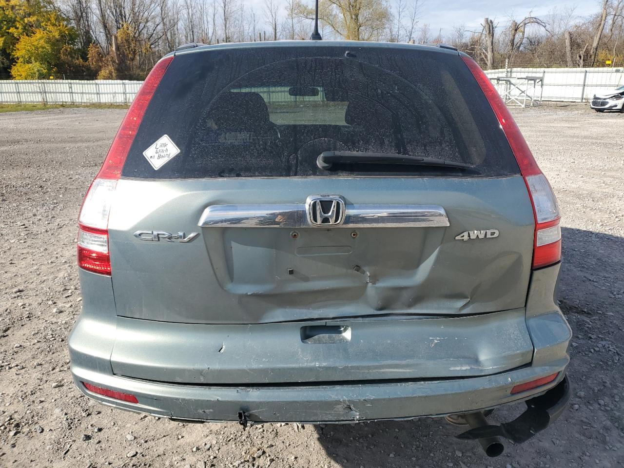 5J6RE4H59AL033783 2010 Honda Cr-V Ex