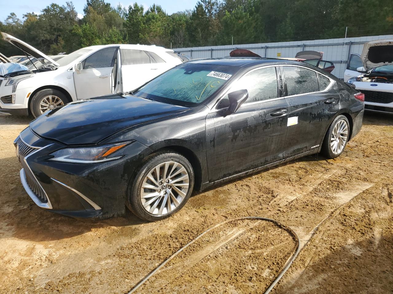 2021 Lexus ES - Image 1