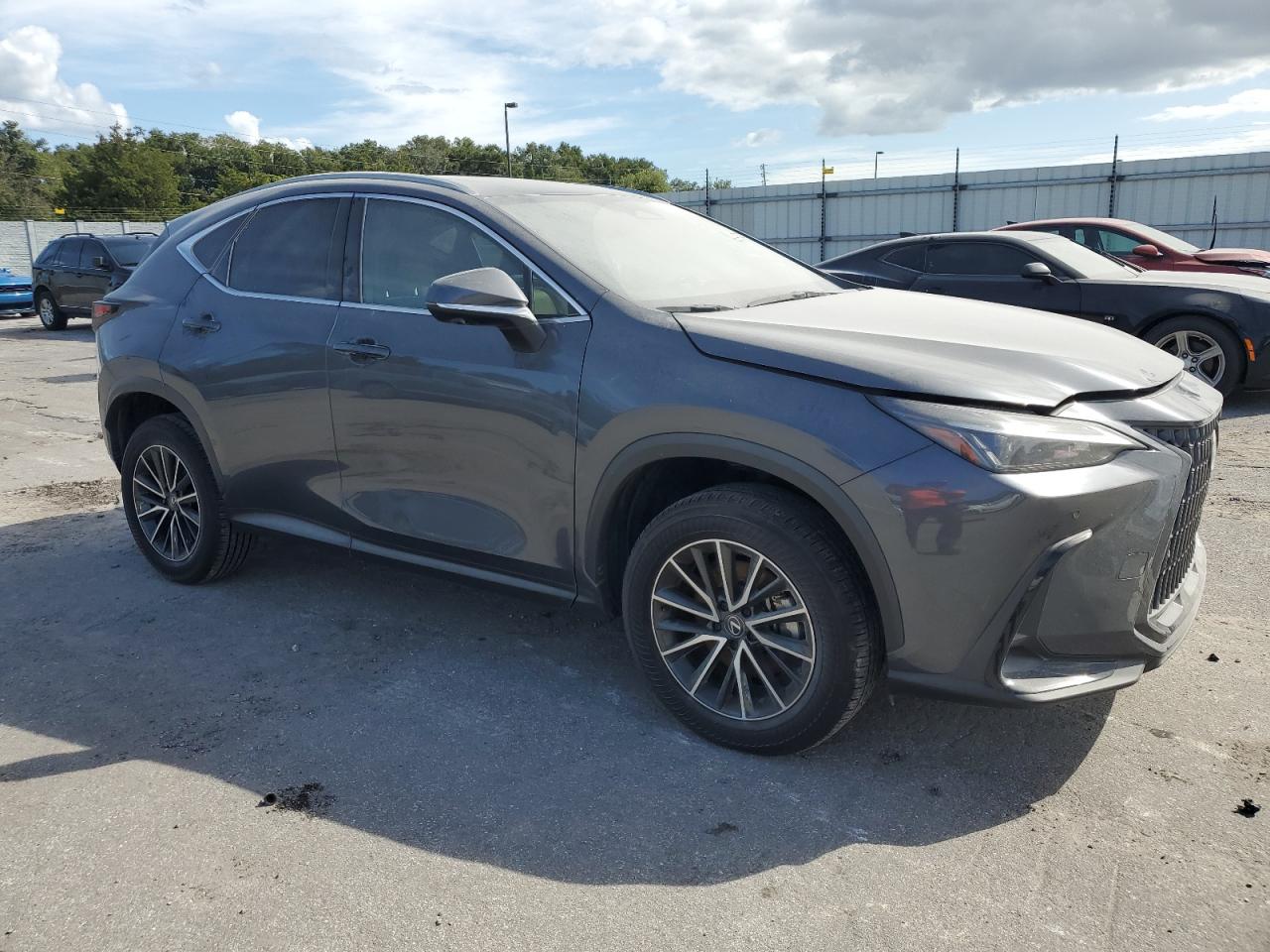 2024 Lexus NX - Image 4