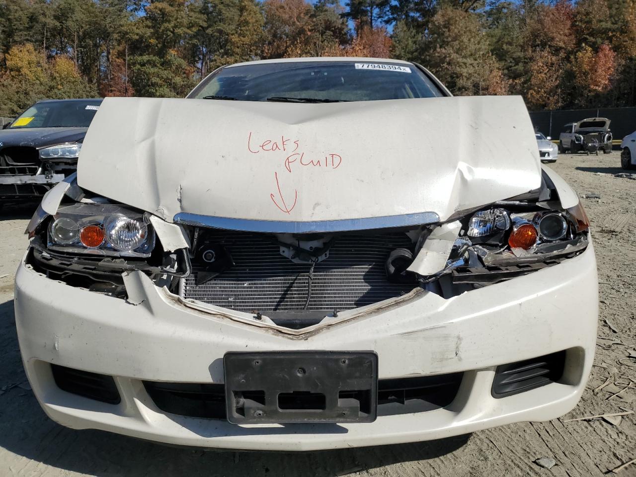 2004 Acura TSX - Image 5