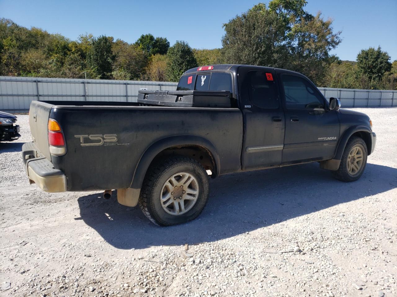 2003 Toyota Tundra Access Cab Sr5 VIN: 5TBRN34173S436383 Lot: 74837454