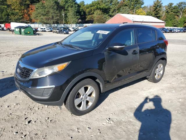 2013 Kia Sportage Base