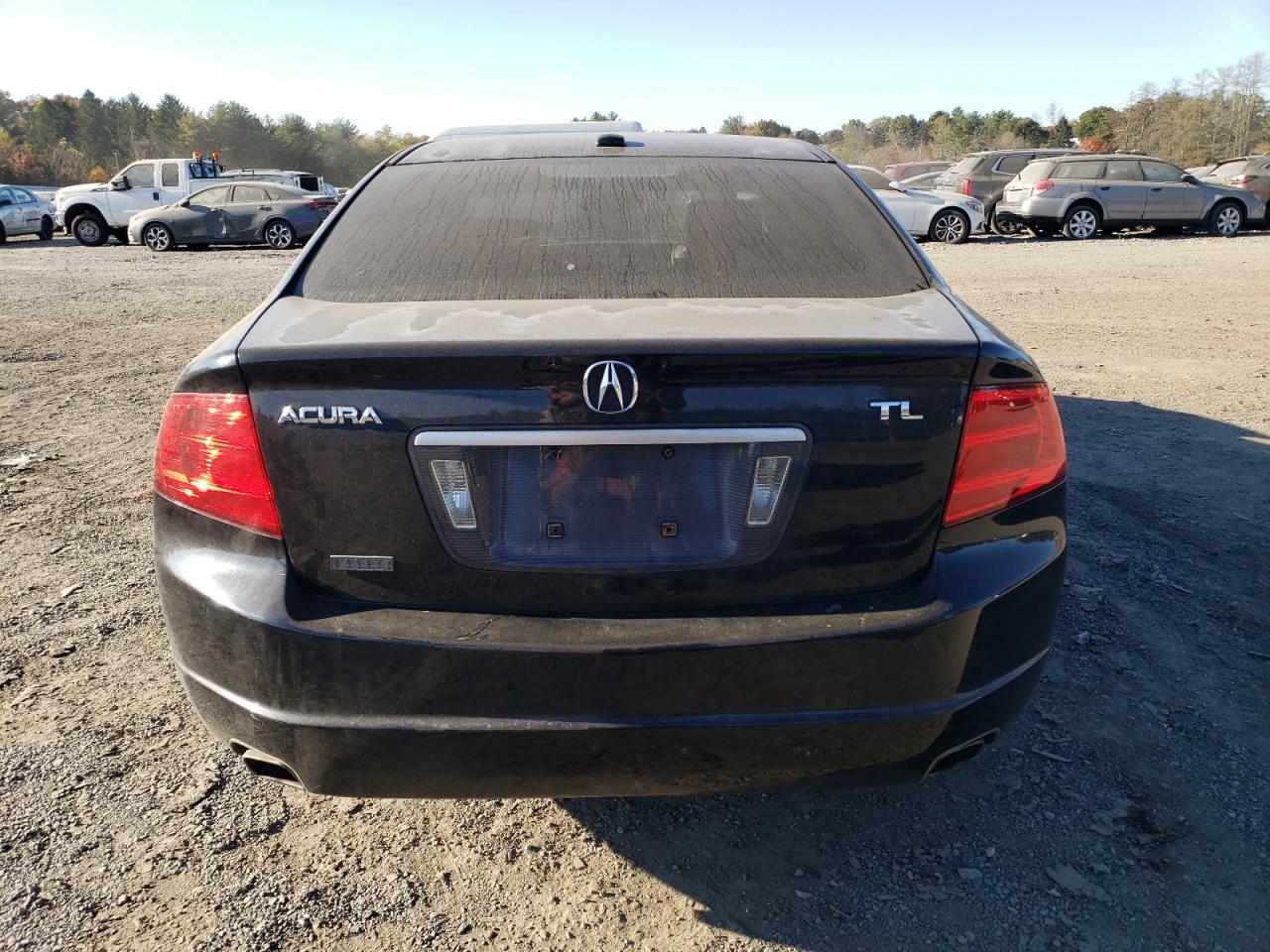 2006 Acura 3.2Tl VIN: 19UUA66236A003585 Lot: 76884674