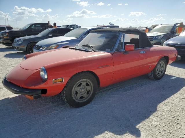 1982 Alfa Romeo Veloce 2000 Spider