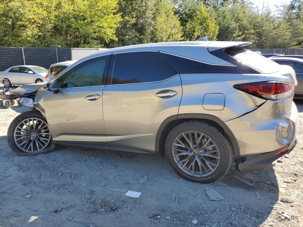2021 Lexus RX - Image 2
