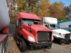 2015 Freightliner Cascadia 125  for Sale in Waldorf, MD - All Over