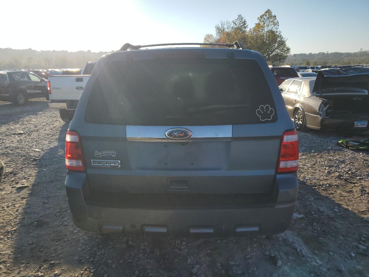 2011 Ford Escape Limited VIN: 1FMCU0E77BKB58118 Lot: 76635784