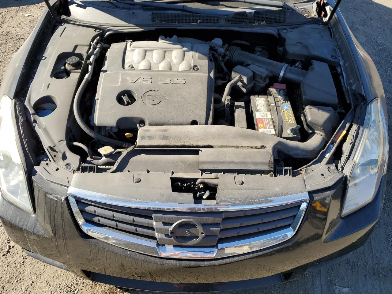 1N4BA41E48C827541 2008 Nissan Maxima Se