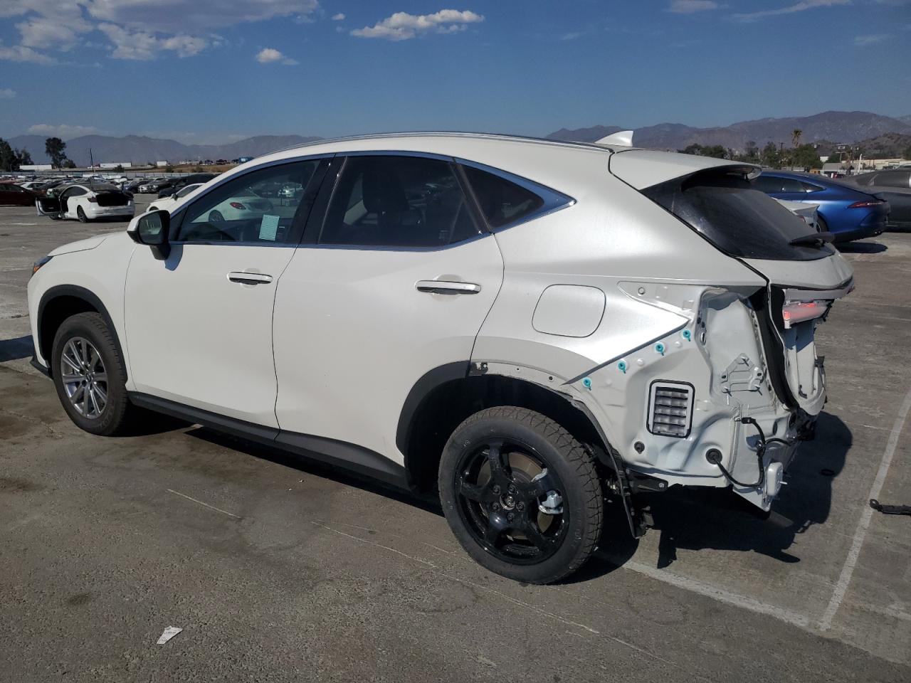 2024 Lexus NX - Image 2