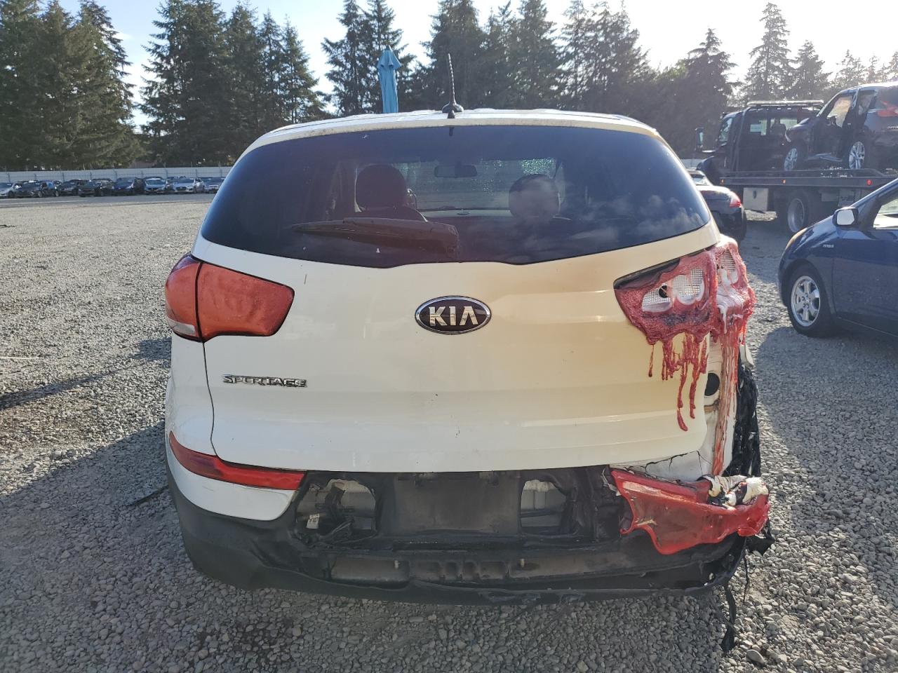 2015 Kia Sportage Lx VIN: KNDPBCAC2F7674962 Lot: 74307094