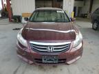 2012 Honda Accord Exl продається в Billings, MT - Hail