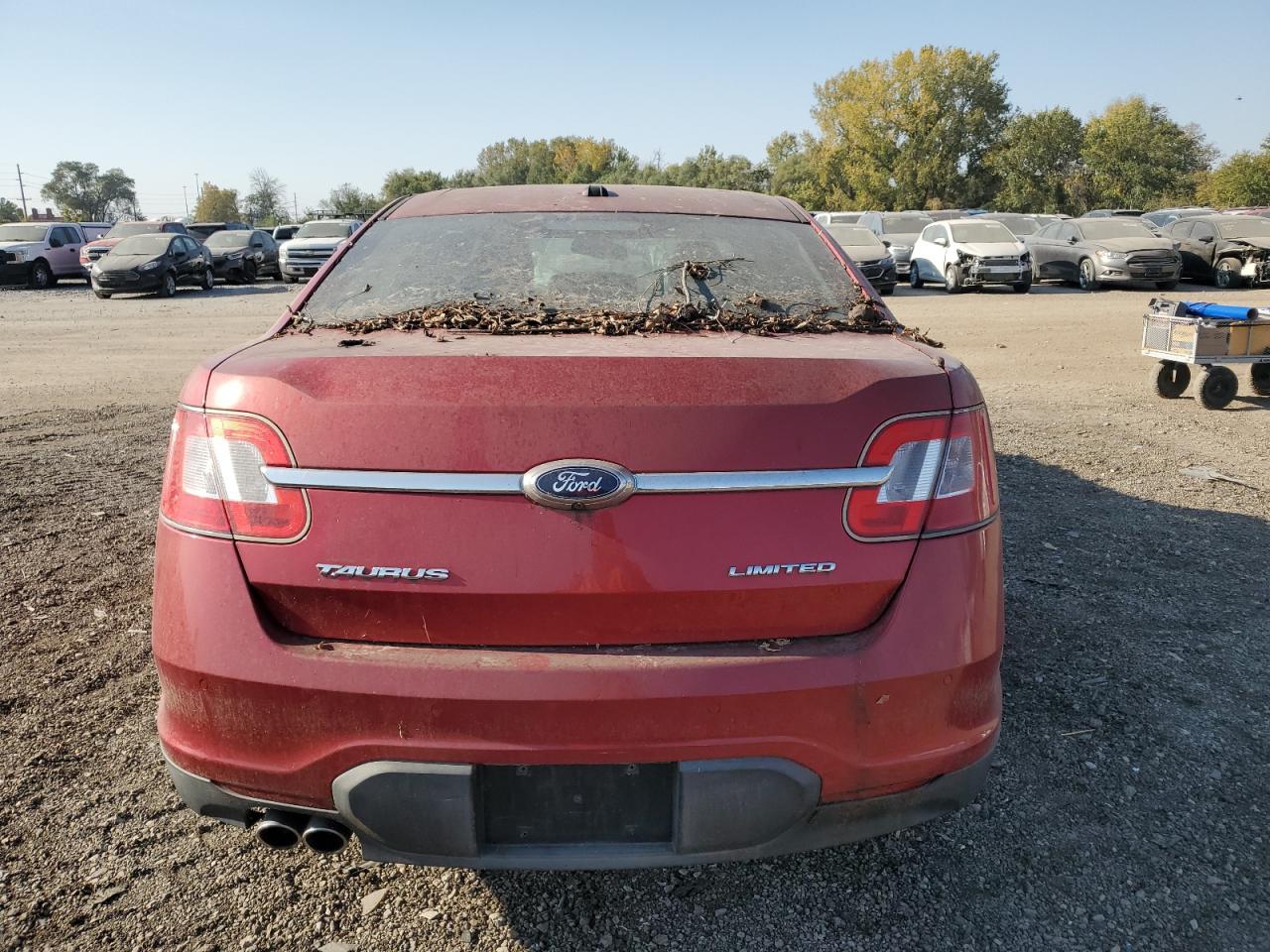 2010 Ford Taurus Limited VIN: 1FAHP2FW5AG143028 Lot: 75754504