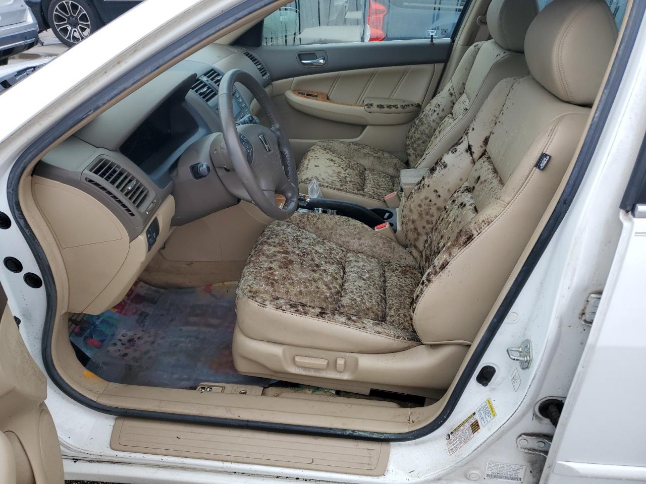 2005 Honda Accord Ex VIN: 1HGCM66595A008298 Lot: 74793864