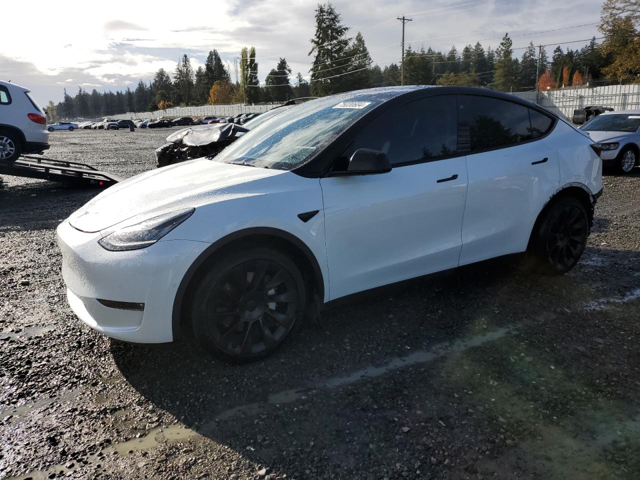 VIN 7SAYGDEE0NF341498 2022 TESLA MODEL Y no.1