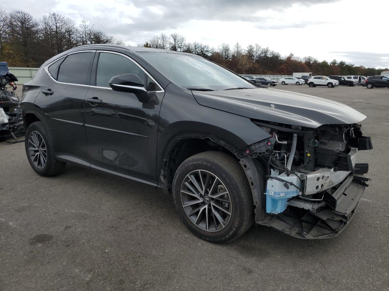 2022 Lexus NX - Image 4