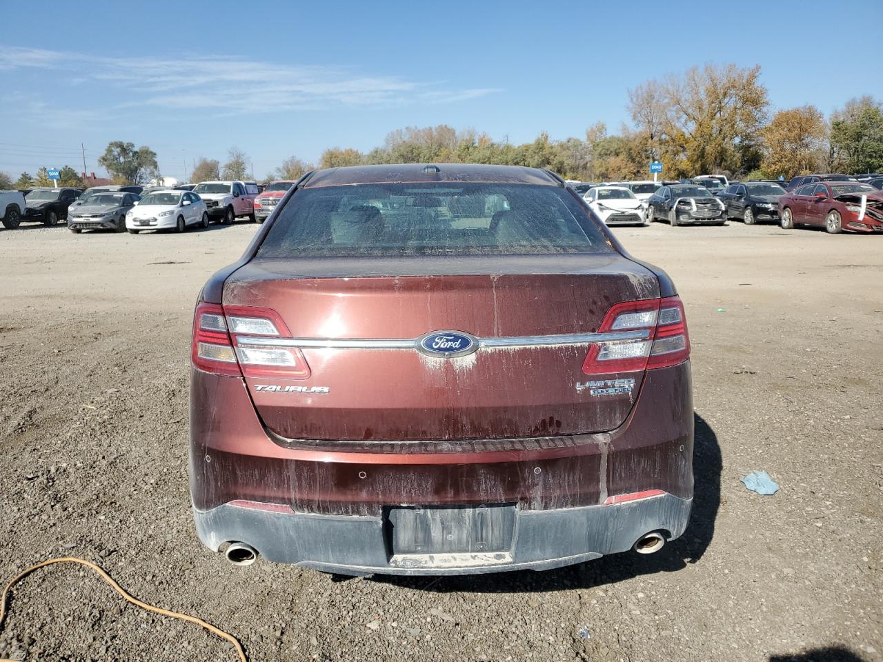 2015 Ford Taurus Limited VIN: 1FAHP2F89FG127584 Lot: 77749514