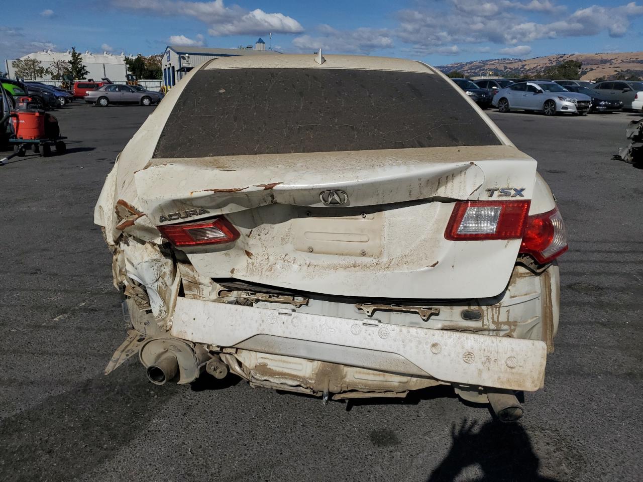 2009 Acura Tsx VIN: JH4CU26659C004869 Lot: 78904264