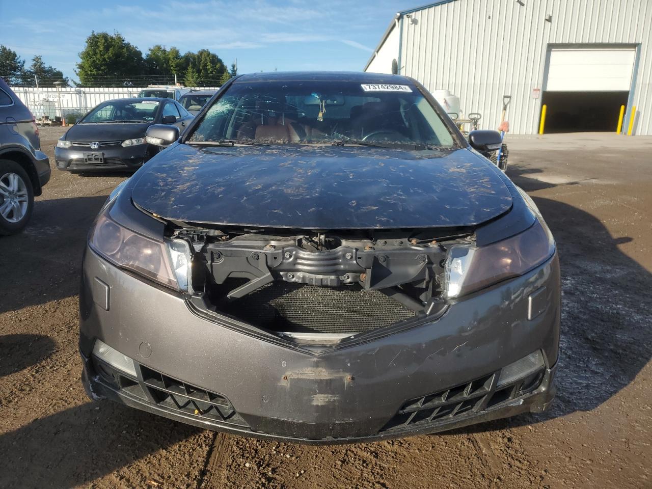 19UUA9F5XAA801568 2010 Acura Tl