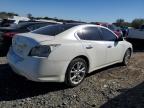 2014 Nissan Maxima S en Venta en Baltimore, MD - Rear End