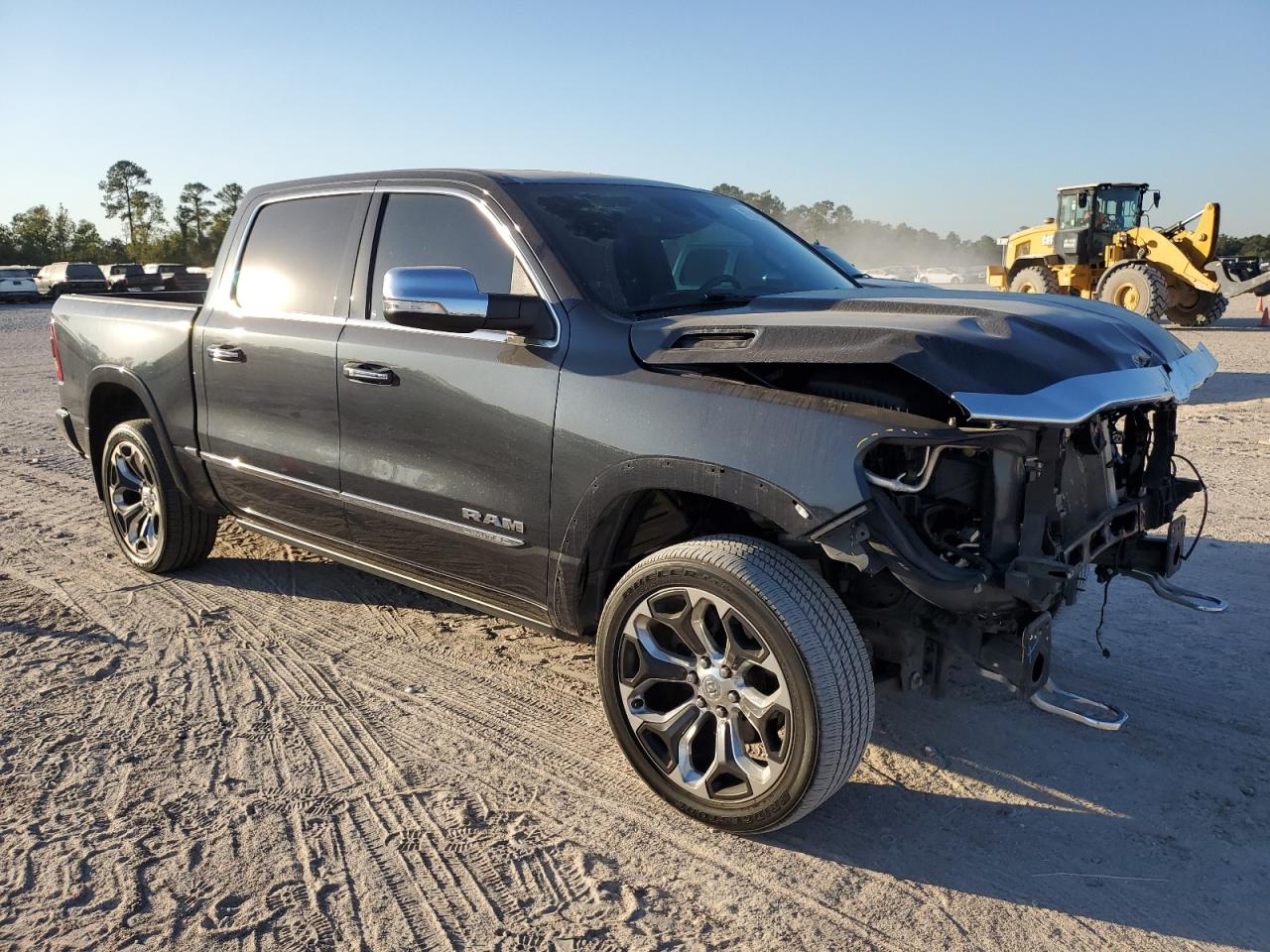 2019 Ram 1500 Limited VIN: 1C6RREHT9KN769893 Lot: 77323144