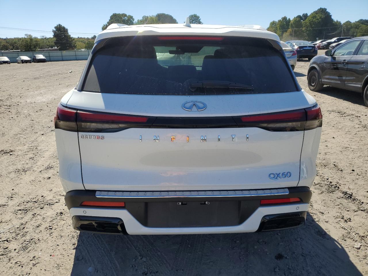 2023 Infiniti Qx60 Luxe VIN: 5N1DL1FR8PC365969 Lot: 76575014