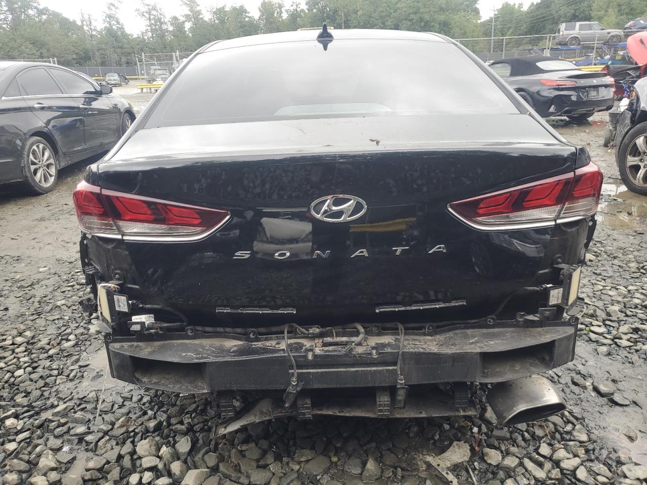 2019 Hyundai Sonata Limited VIN: 5NPE34AF3KH783764 Lot: 73459764