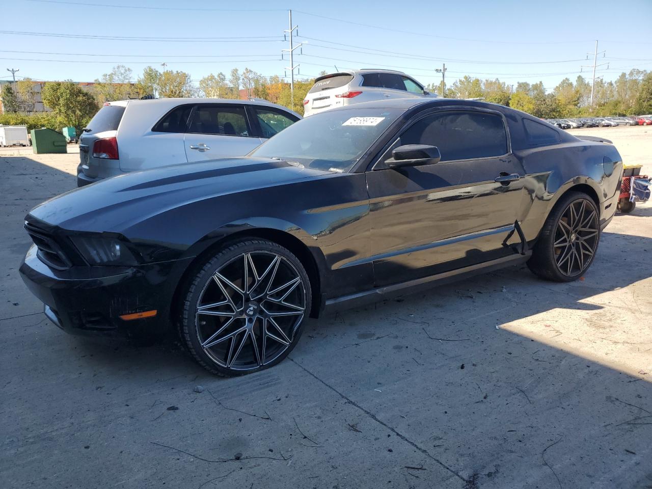 2010 Ford Mustang VIN: 1ZVBP8AN0A5148356 Lot: 75188974