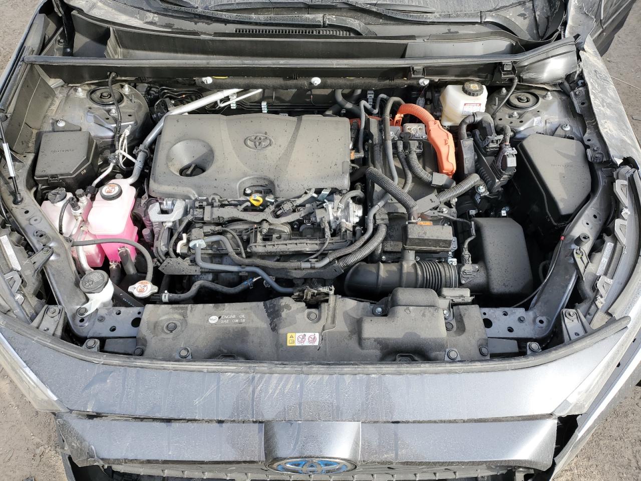 JTMB6RFV7RD123024 2024 Toyota Rav4 Xle Premium