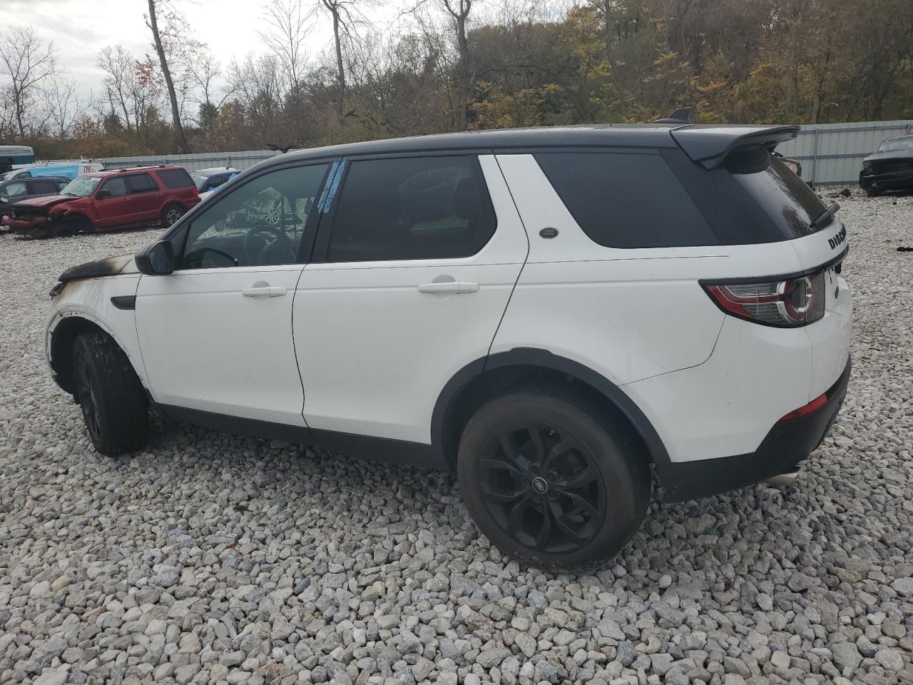 SALCR2BG5GH578219 2016 LAND ROVER DISCOVERY - Image 2