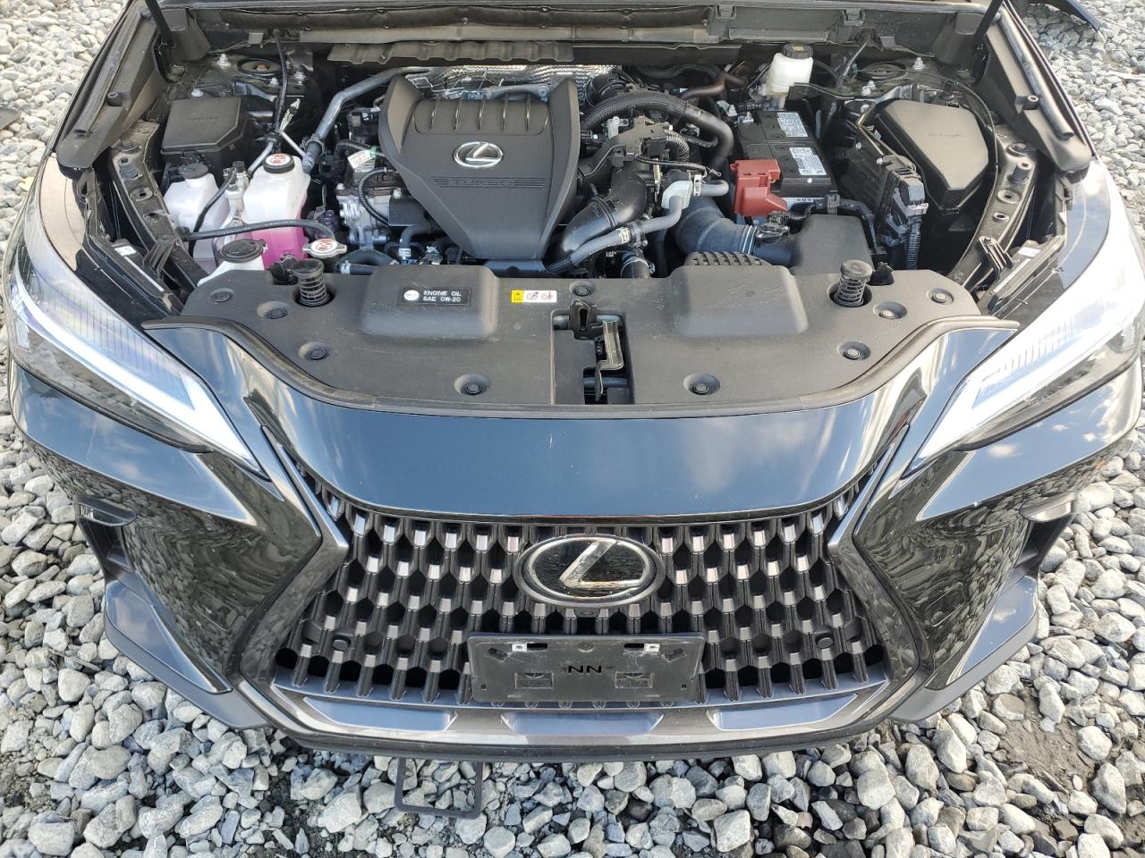 2T2GGCEZ7RC051142 2024 Lexus Nx 350 Premium