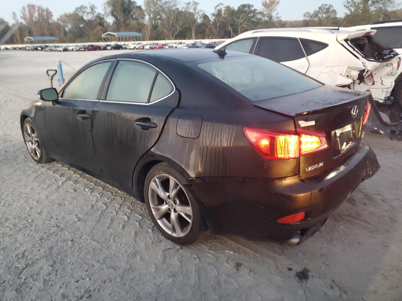 2009 Lexus IS - Image 2