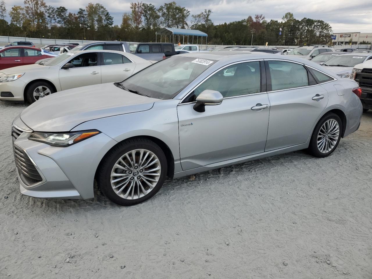 2019 Toyota Avalon Xle VIN: 4T1B21FB9KU008588 Lot: 75302814