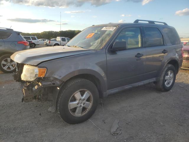 2009 Ford Escape Xlt