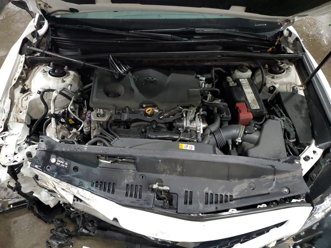 4T1B11HK8KU247761 2019 Toyota Camry L