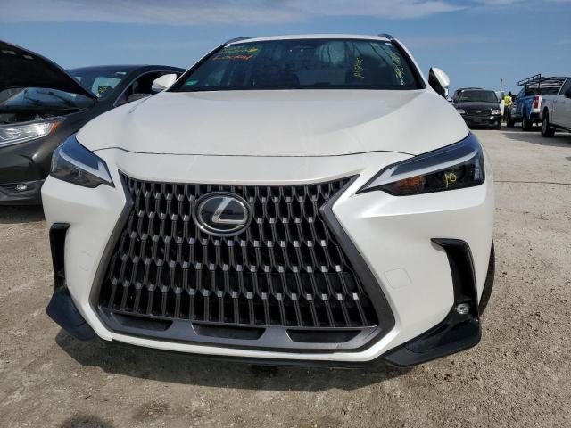 JTJADCAZ1N5001141 Lexus NX 250  5