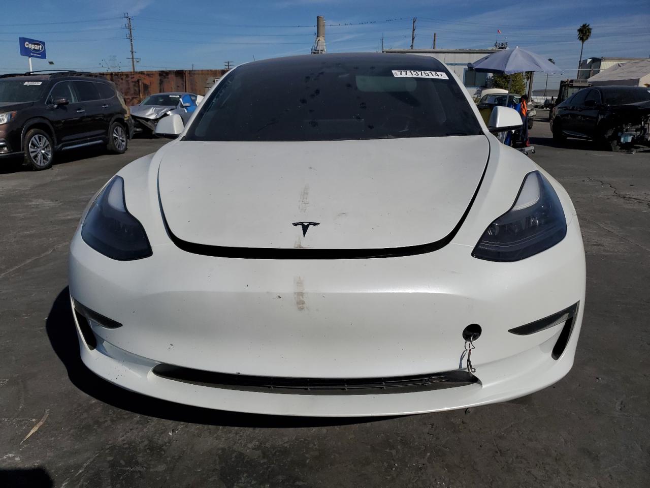 VIN 5YJ3E1EC0PF592583 2023 TESLA MODEL 3 no.5