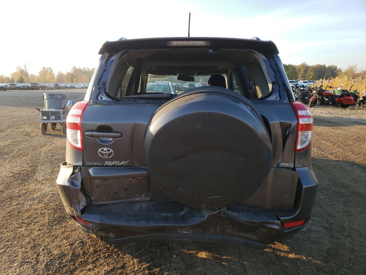 2009 Toyota Rav4 Sport VIN: JTMBF32V695003079 Lot: 78426064