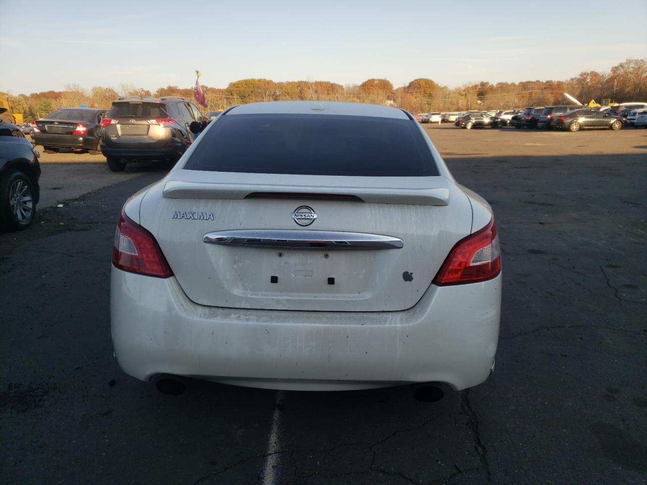 2010 Nissan Maxima S VIN: 1N4AA5AP1AC841289 Lot: 77680114