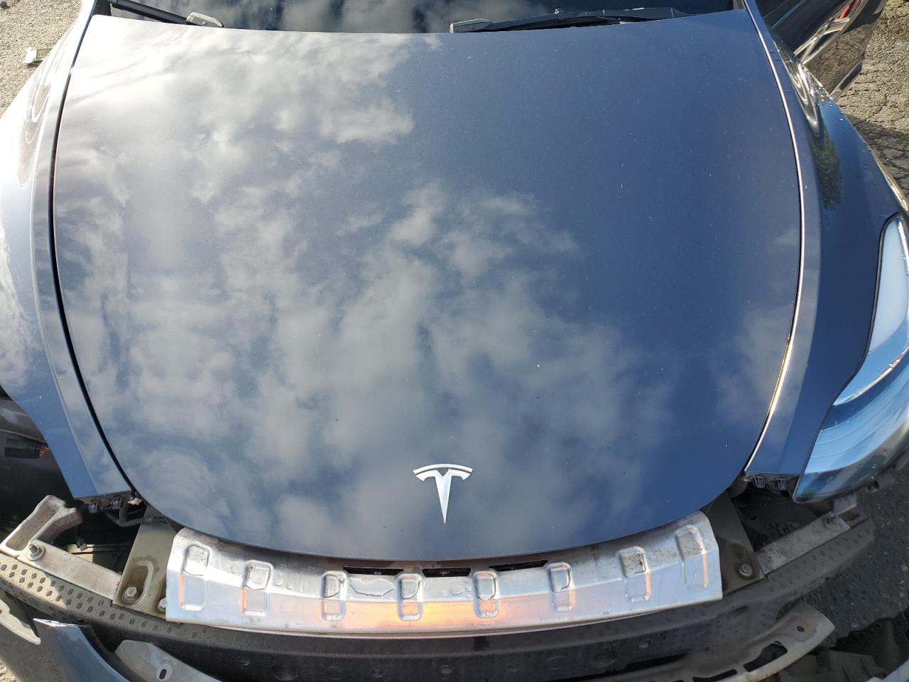 2023 Tesla Model Y VIN: 7SAYGDEEXPF598767 Lot: 76554104