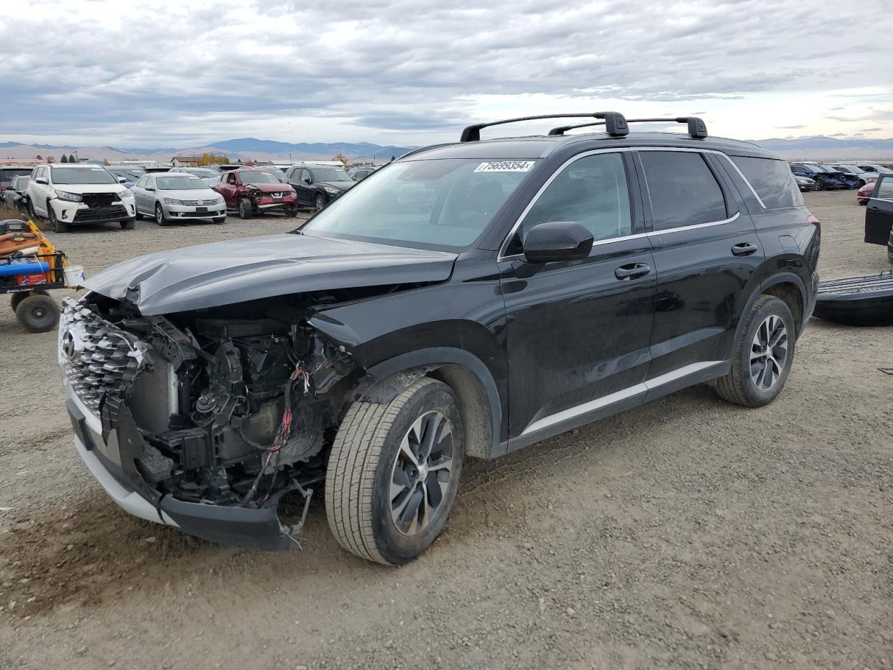 2020 Hyundai Palisade - Image 1