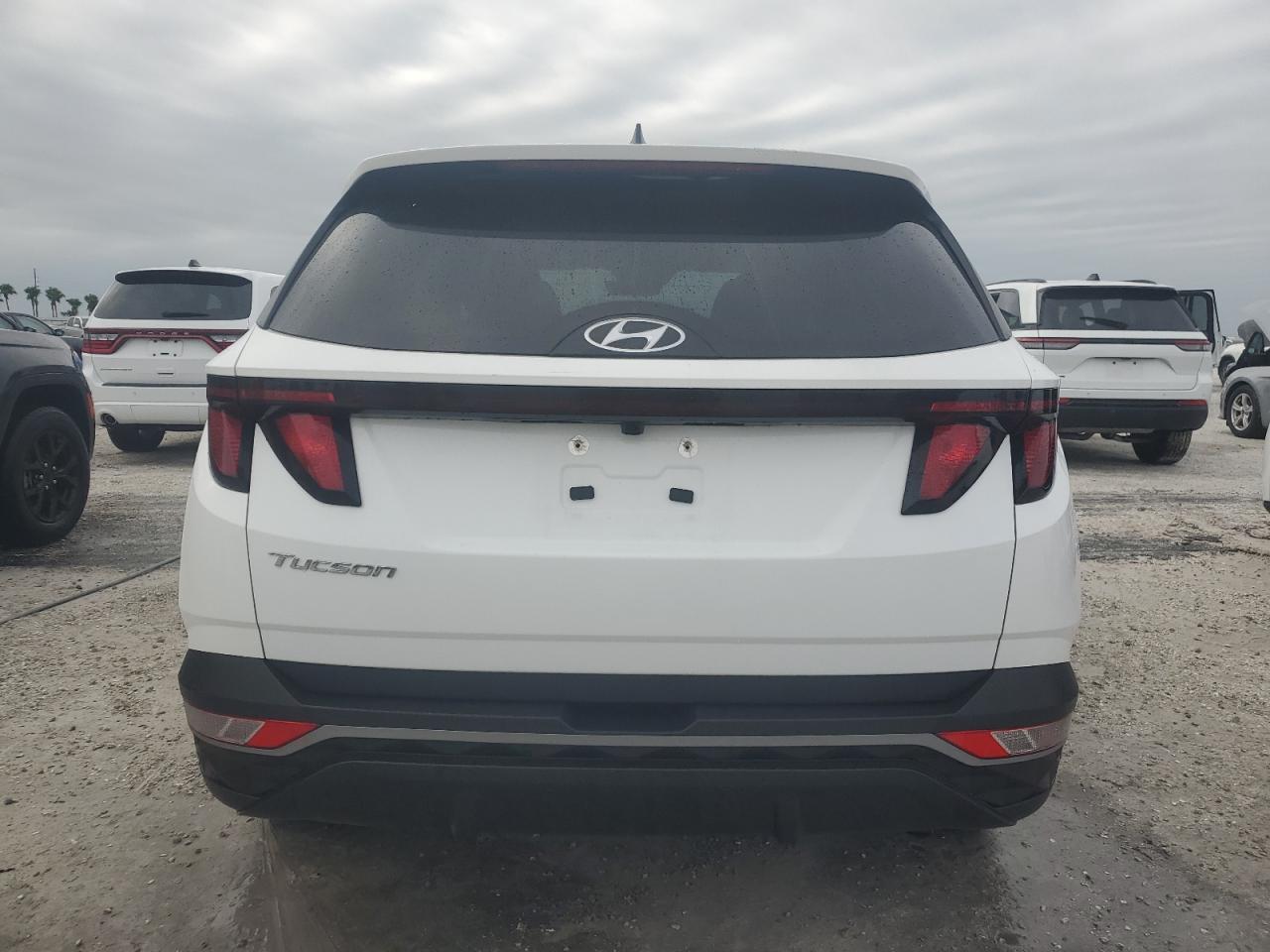 2024 Hyundai Tucson Sel VIN: 5NMJB3DE0RH324794 Lot: 75136304