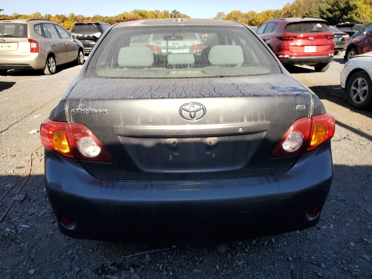 2010 Toyota Corolla Base VIN: 1NXBU4EE2AZ368002 Lot: 77144834
