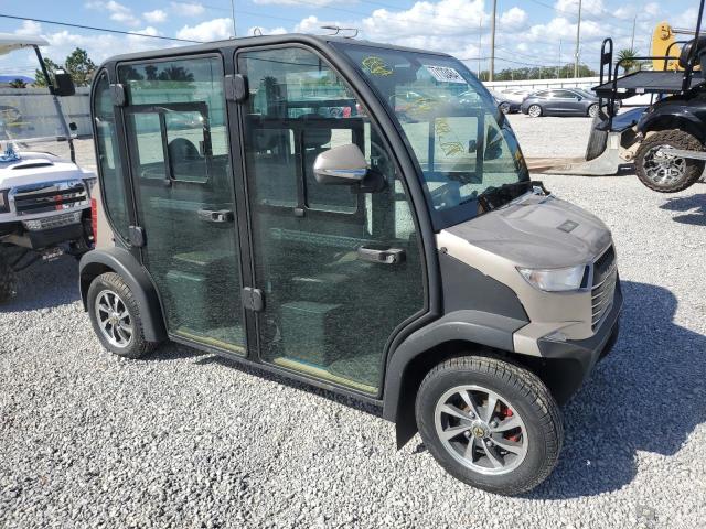 2019 Other Golf Cart