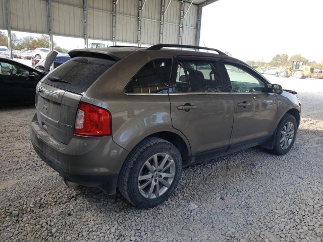  FORD EDGE 2013 Колір засмаги