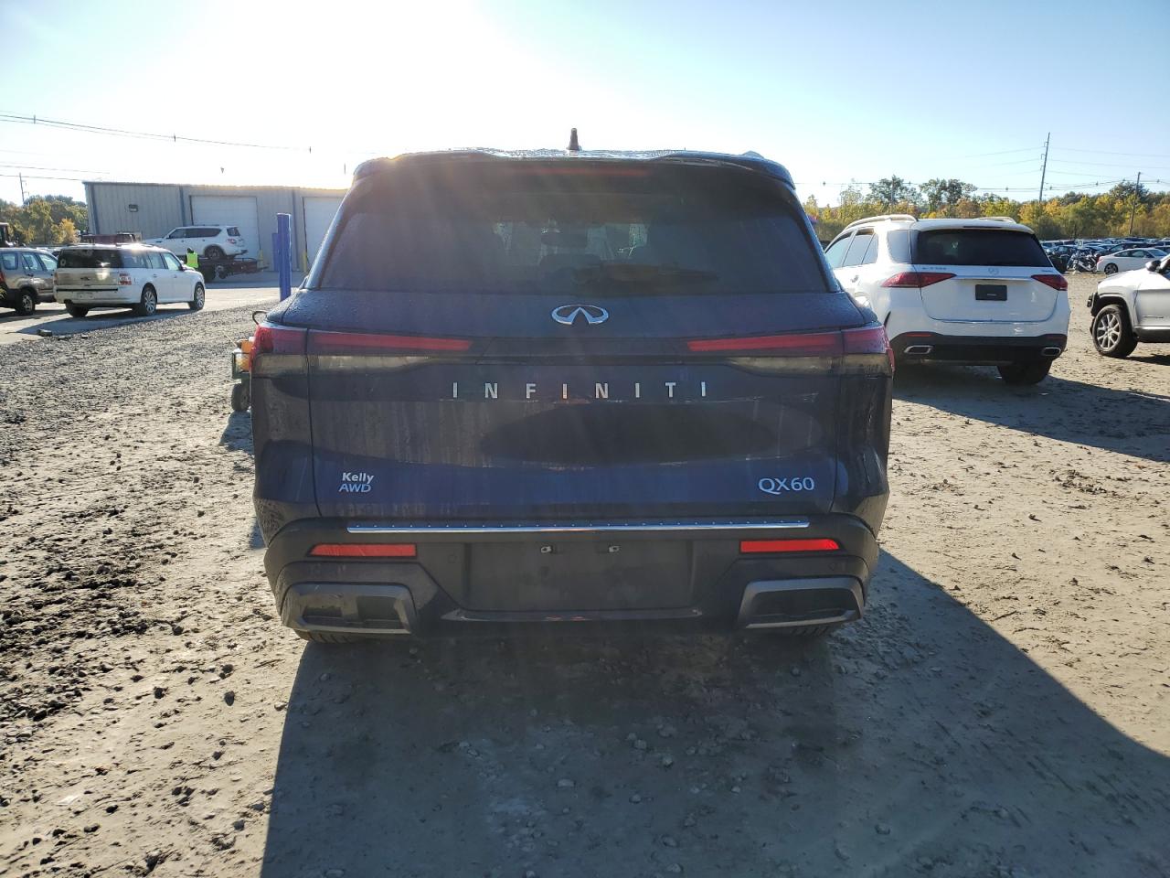 2022 Infiniti Qx60 Luxe VIN: 5N1DL1FS9NC331653 Lot: 76532844