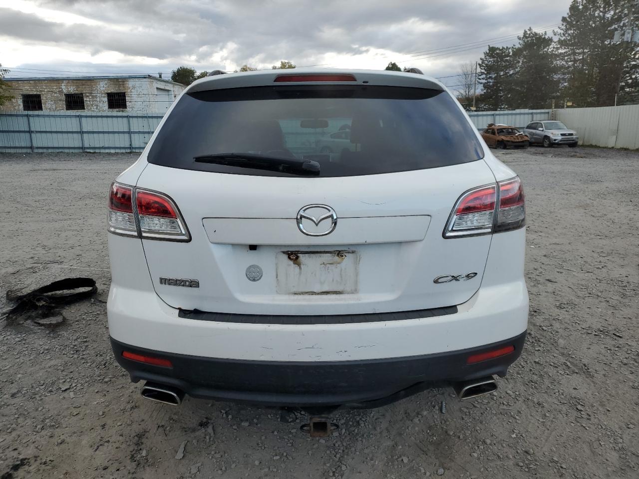 2008 Mazda Cx-9 VIN: JM3TB38VX80145946 Lot: 73375514