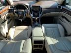 2013 Cadillac Srx Luxury Collection for Sale in Houston, TX - Rear End